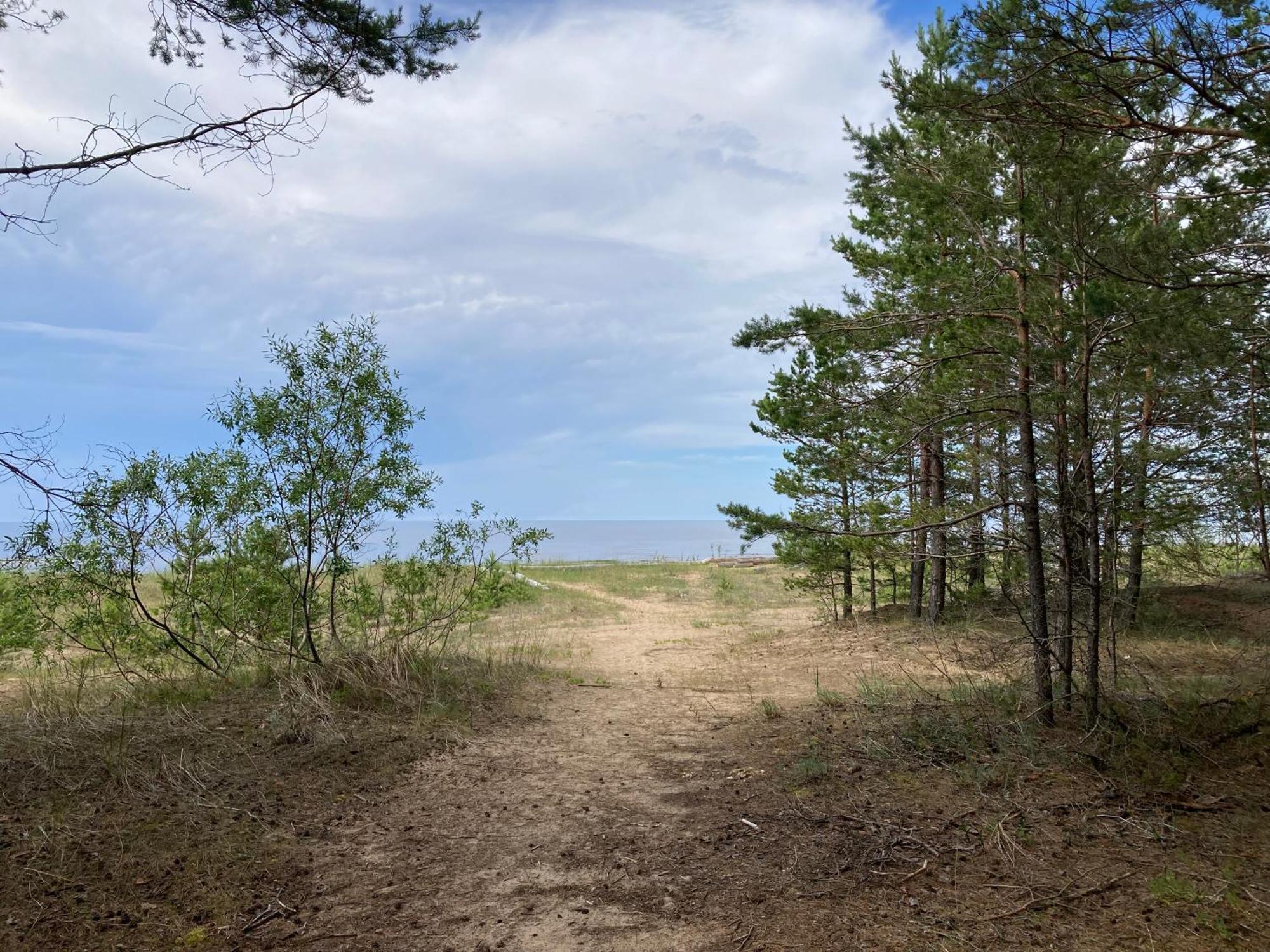 Holiday home Jaunjespari 1