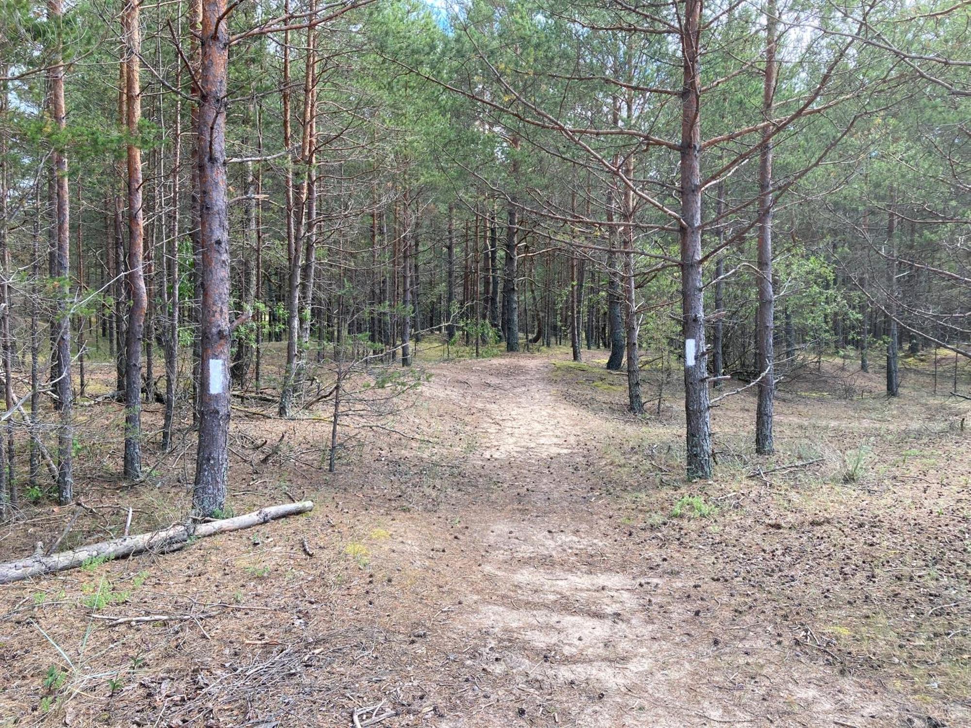 Holiday home Jaunjespari 1 Batciems